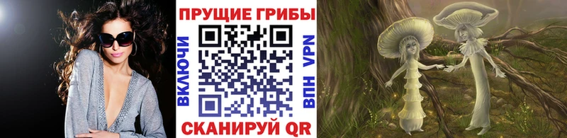 Галлюциногенные грибы мицелий  Сальск 